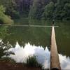 Cronmiller Lake - Balancing act along the trail.