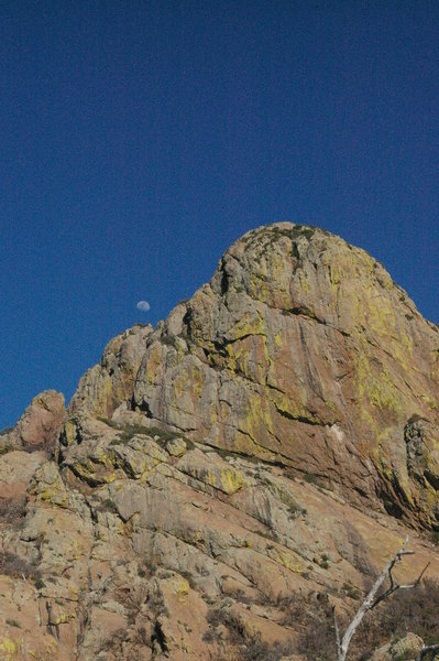 Looking up at Baboquivari Peak.