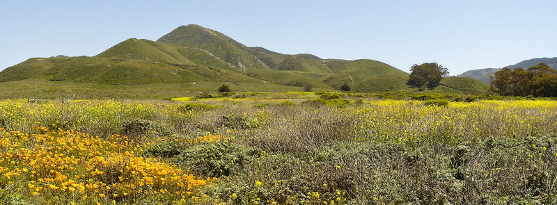 Valencia Peak from Bluff Trail in Montana de Oro State Park