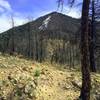 From West Ridge trail, Bear Peak (8,461') kinda taunts you as you stare at it looming ahead. the final 600'+ push is worth the effort, though.