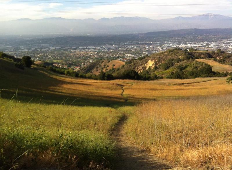 Looking over Rowland Heights, a small singletrack leads down to Schabarum Trail in the distance.