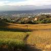 Looking over Rowland Heights, a small singletrack leads down to Schabarum Trail in the distance.