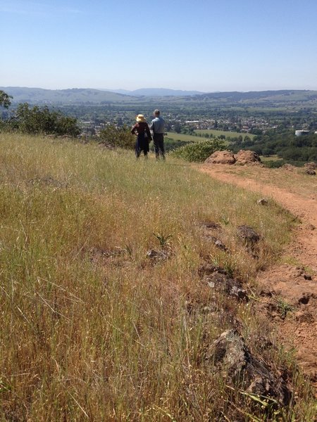 Great views over Sonoma