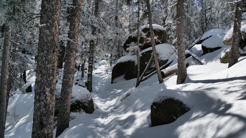 The upper switchbacks on the Devil's Head Trail