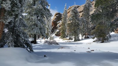 Meadow below the Lookout