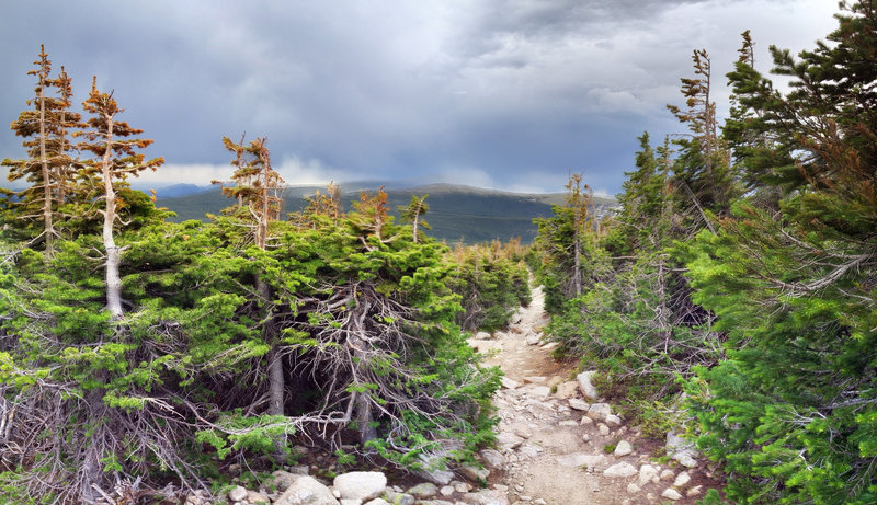 Looking back down Mount Audubon