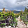 Looking back down Mount Audubon