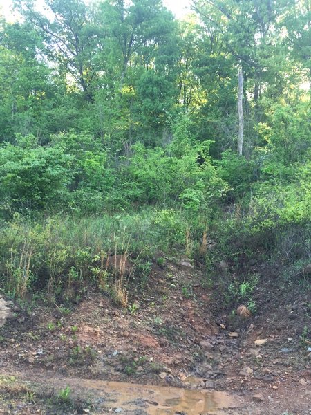 South entrace to Green Mountain Log trail from TVA easement