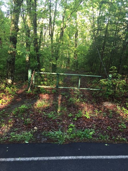 Green Mountain Log Trail entrance.