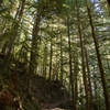 Boulder Creek Trail