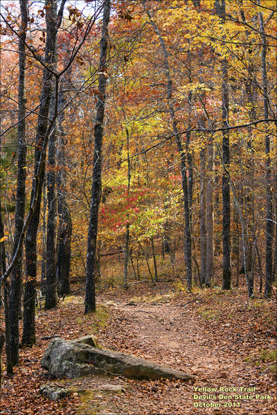 Walking Down The Yellow Rock Trail