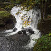 Whatcom Falls!