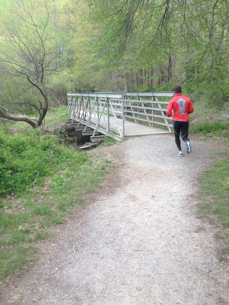 Ronald Craven Trail bridge crossing