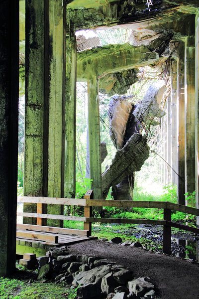 Tunnel cave collapse