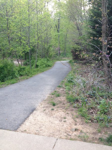 Right in the middle of the Long Branch Trail