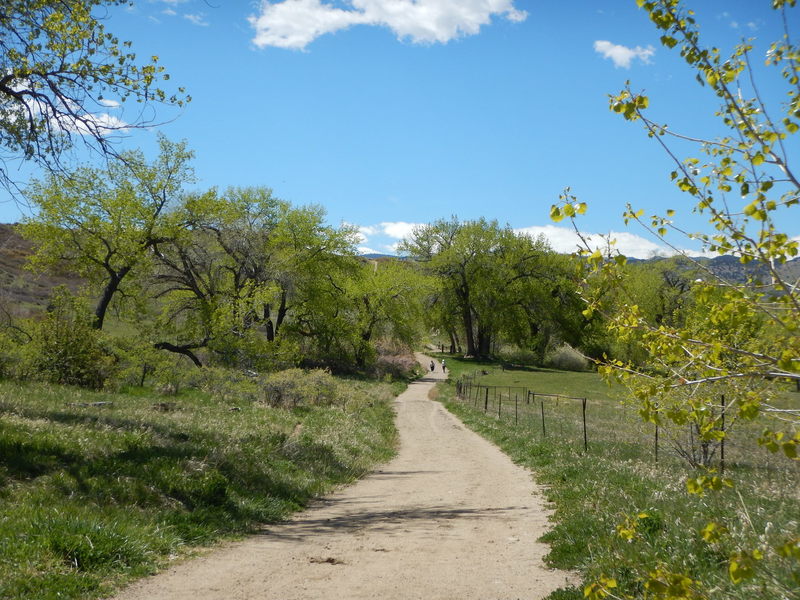 Pretty much the only shade you'll find on the Eagle Trail