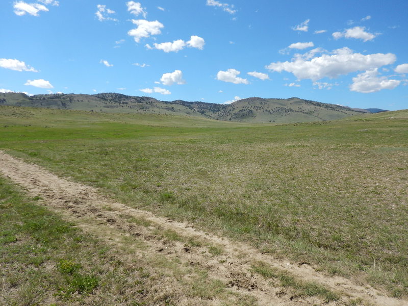 From the Degge Trail looking west to the foohills