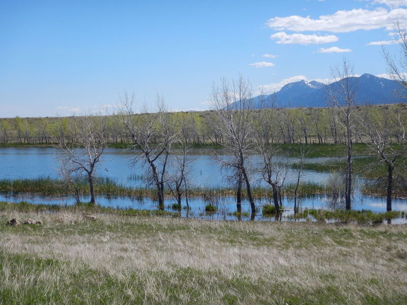 The marshy Mesa Reservoir - don't enter, it is a protected wildlife area