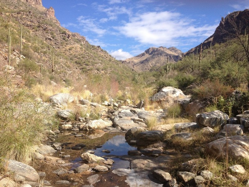 River bed at Bear Canyon