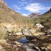 River bed at Bear Canyon