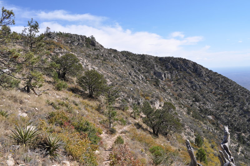 Along the ridge on the Bear Canyon Trail