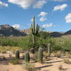 Don't touch the cacti!  On the Bear Canyon Trail.