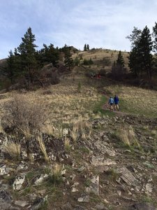 On the way to the top of Mt. Sentinel.