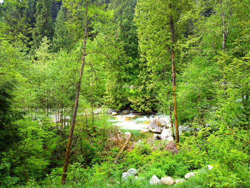 Walking around North Vancouver on the Lynn Loop Trail