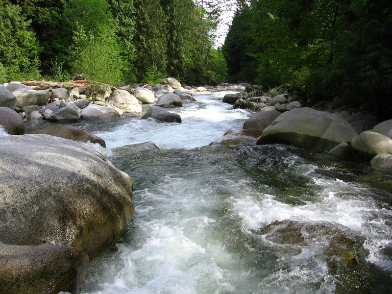 Lynn Canyon Park.