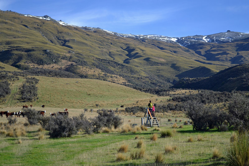 Take a sharp right at the cow pasture.