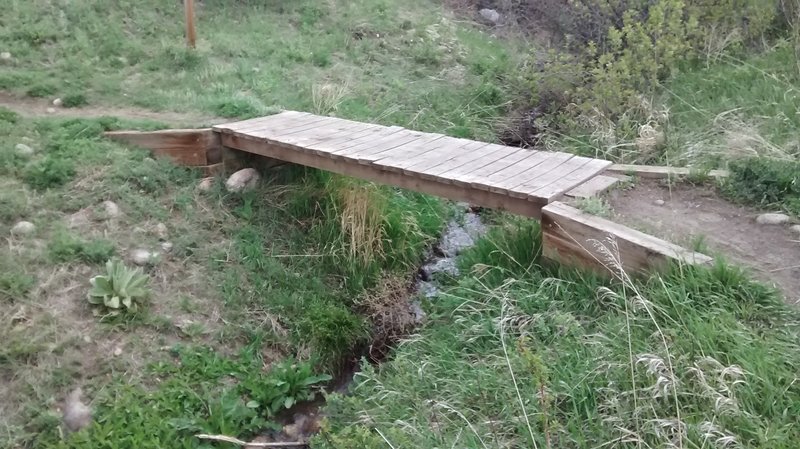 A bridge over a small brook. The vegetation near this water source is beautiful.