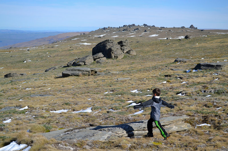 The Rock & Pillar range's broad summit plateau.