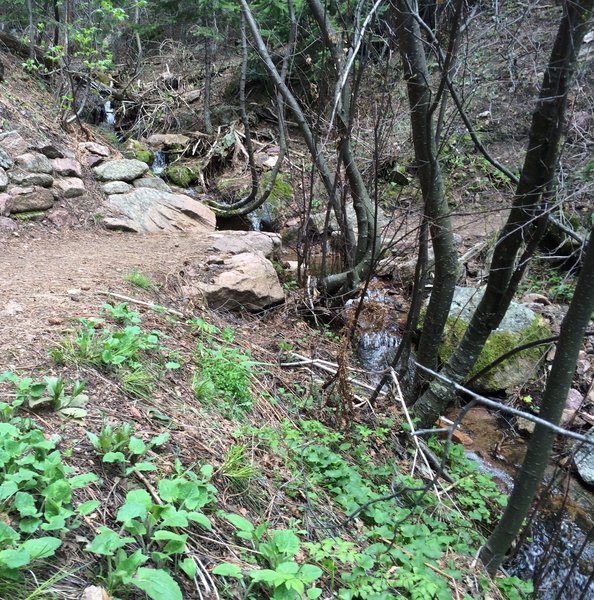 Pretty small stream crossing