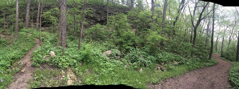 Rock Bluff Outcropping