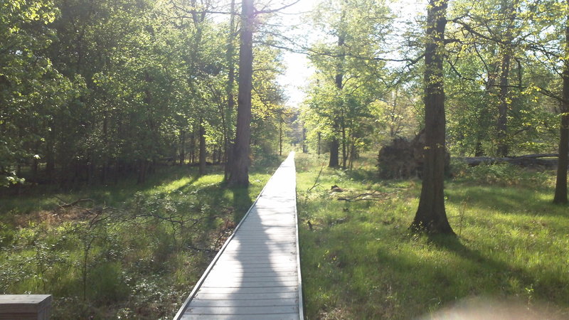 The footbridge....only singletrack point on the trail. Watch for dog pooh. People really need to clean up after their critters.