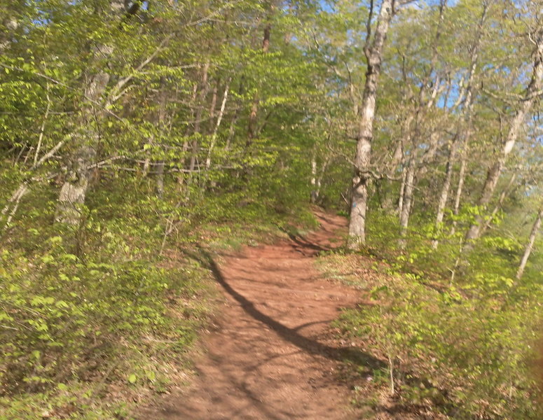 Calf buster of a short incline. There is a bench at the top if you need a rest.