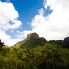 Looking up from the Chisos Basin.