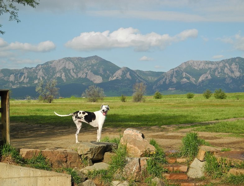 At the start of the Dry Creek loop