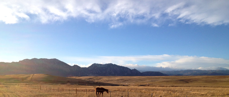 Open plains, horses, and cows combine to make this section of trail mellow and peaceful.