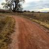 Looking west on the Dry Creek Trail.