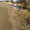 The Coal Creek and its riparian corridor. Water flows year-around to the east.