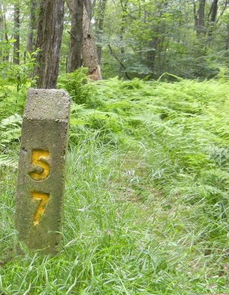 Mile markers for LHHT (Laurel Highland Hiking Trail) are cement spires approx. 2 feet tall.  None-the-less, easy to miss.