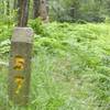 Mile markers for LHHT (Laurel Highland Hiking Trail) are cement spires approx. 2 feet tall.  None-the-less, easy to miss.