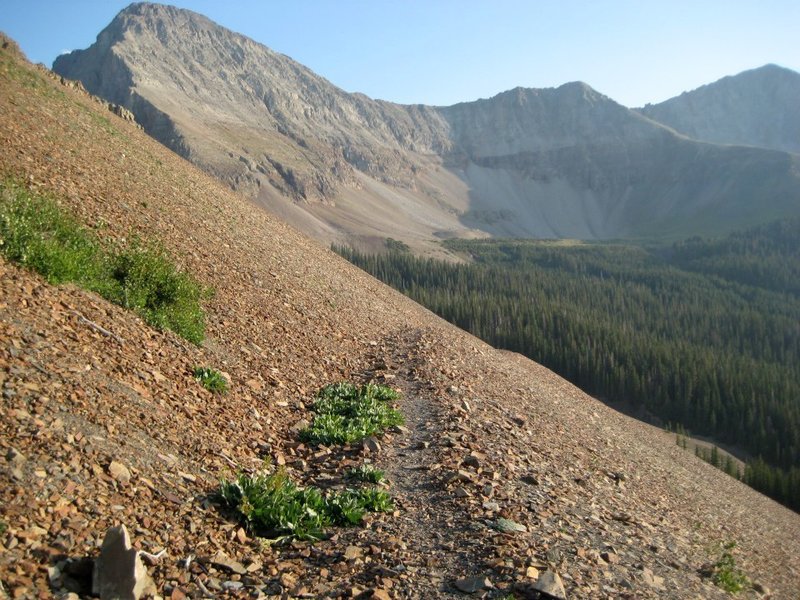 Some of the clearer trail on the Rock of Ages Trail descent.