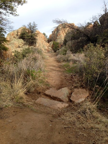 Coming up to the V on the Constellation Trail