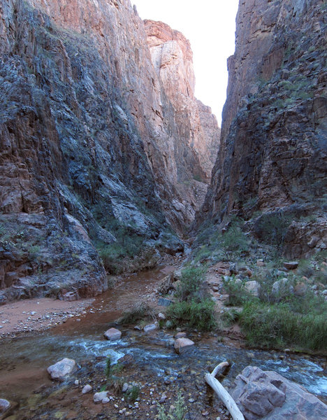 Grand Canyon National Park: North Kaibab Trail - Phantom Canyon.