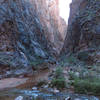 Grand Canyon National Park: North Kaibab Trail - Phantom Canyon.