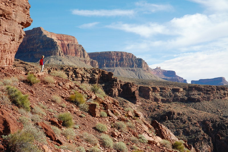 Taking in the scenery.