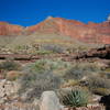 Some cool geology in Grand Canyon.