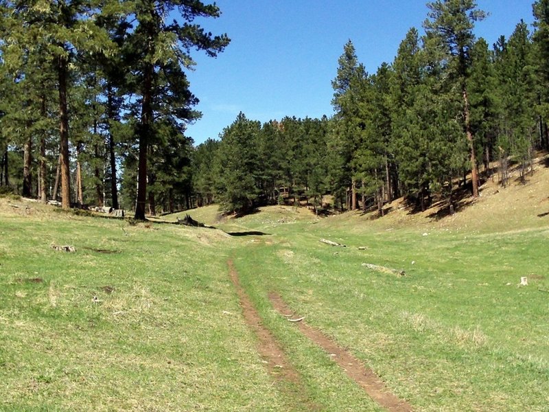 Typical Big Hill trail.